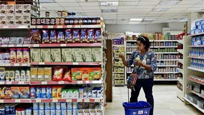 أبرزها الجبن والعدس .. انهيار معظم أسعار السلع الأساسية في الأسواق المحلية 