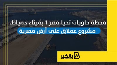 محطة حاويات تحيا مصر 1 بميناء دمياط.. مشروع عملاق على أرض مصرية | إنفوجراف