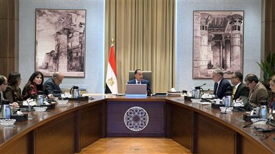 مدبولي يتابع مع وزيري الكهرباء والبترول جهود توفير احتياجات الطاقة خلال الصيف 
