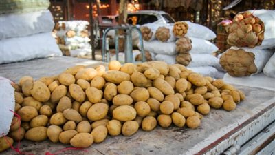 انخفاض أسعار 8 أصناف من الخضار.. والبطاطس تسجل 15 جنيهًا بسوق العبور