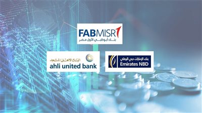 البنوك الإماراتية