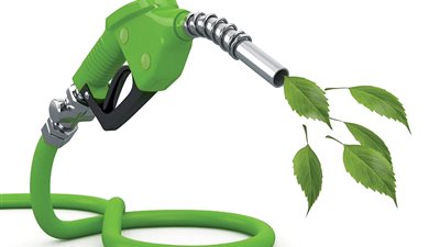 كنز مصري منذ آلاف السنين.. ما حكاية الوقود الحيوي في الوادي الجديد؟