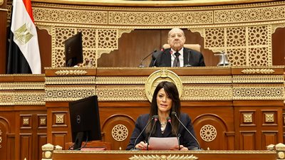 المشاط: خطة التنمية 2025-2026 تلتزم بسقف استثمارات عامة 1.16 تريليون جنيه ترشيدا للإنفاق  