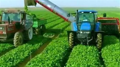 مشروعات قومية لزيادة الرقعة الزراعية.. مصر تقترب من الاكتفاء الذاتي في جميع الزراعات