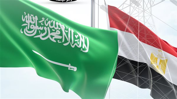 الربط الكهربائي بين