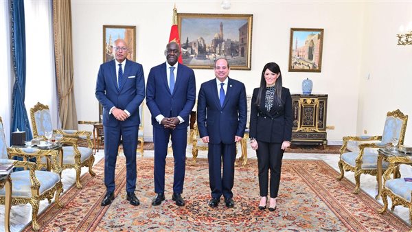 السيسي يبحث مع مؤسسة