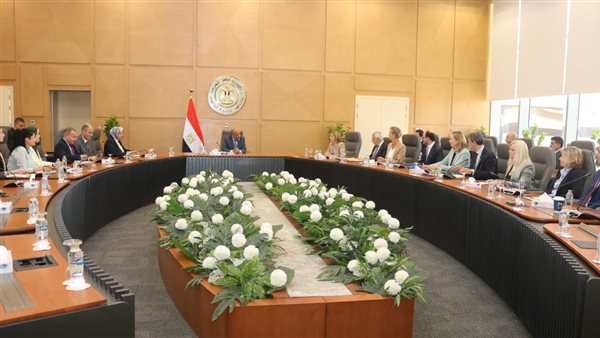 وزير الكهرباء ونائبة