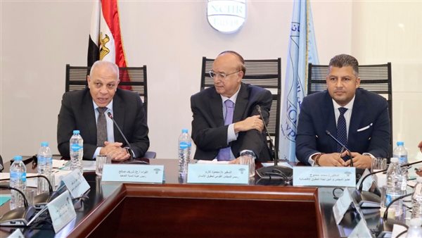 رئيس هيئة تنمية الصعيد