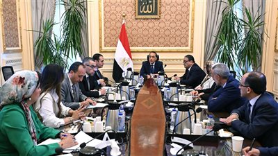 مدبولي: مخزون السلع آمن.. والجهاز المصرفي يوفر العملة الأجنبية للقطاعات الصناعية ومستلزمات الإنتاج