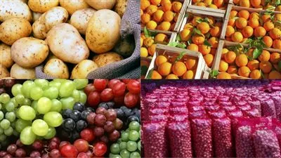 زلزال إقليمي وتحرك مصري سريع.. 3 وزارات تتحرك لإنقاذ الصادرات الزراعية بعد غلق الأجواء