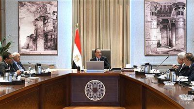 رئيس الوزراء يلتقي أعضاء اللجنة الاستشارية للشئون السياسية