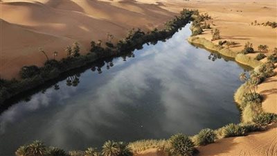 مشروع منخفض القطارة الأخضر.. طموح مصري لتحويل الصحراء إلى كنز وطني