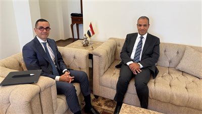 وزيرا الخارجية والاستثمار يبحثان آليات الترويج الفعال للاقتصاد المصري