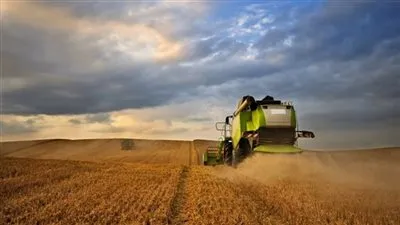 الحرب تشعل أسواق الحبوب والزيوت.. القمح يقترب من أعلى مستوى في عامين