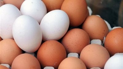 أسعار بيض المائدة بالأسواق اليوم الجمعة..الطبق وصل لكام؟