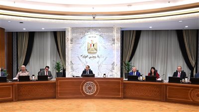 مجلس الوزراء يوافق على نقل تبعية ميناء أبو طرطور إلى هيئة موانئ البحر الأحمر