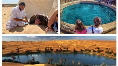 كنز دولارات جديد.. الحكومة بتجهز لمفاجأة في قطاع سياحي مهم