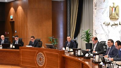 مدبولي: الحكومي اهتماما بالغا لتوفير الأدوية والمستلزمات الطبية في السوق المحلية 