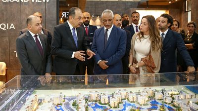  محمد شيمي: مشروعات 