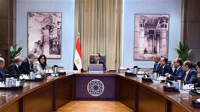 مدبولي: مشروعات 