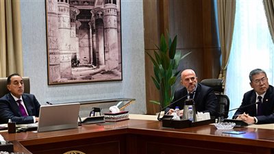 مدبولي: نرحب بالشراكة مع 