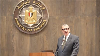 نائب وزير المالية: نعمل على دمج التجارة الإلكترونية بشكل أكبر لتعزيز تنوع الاقتصاد المصري