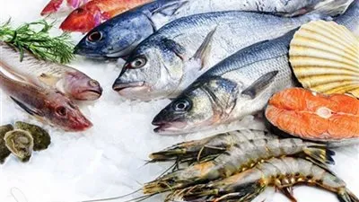 تراجع أسعار البلطي والجمبري في سوق العبور اليوم.. والجامبو يهبط 50 جنيهاً