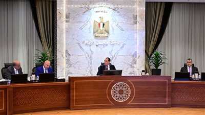 المجلس الأعلى للطاقة يوافق على توفير احتياجات المصانع المهمة في اقتصادية قناة السويس 