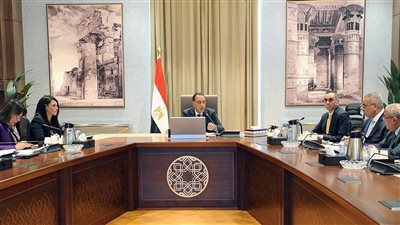 رئيس الوزراء يستعرض الهيكل التنظيمي لوحدة إعادة هيكلة الشركات المملوكة للدولة 