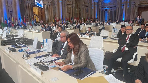 منال عوض في مؤتمر