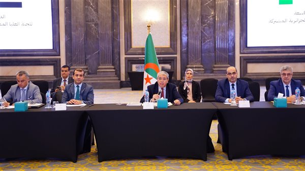 اللجنة العليا المصرية