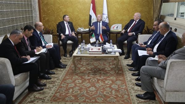 نائب رئيس مجلس الوزراء