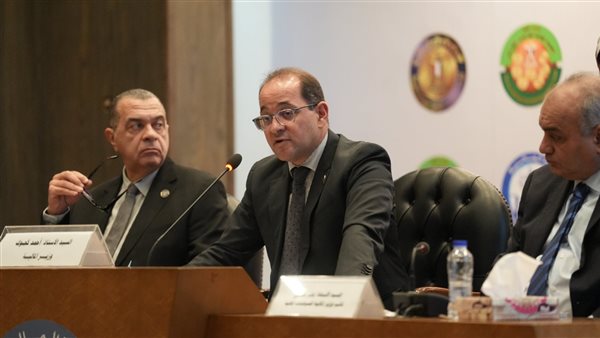 أحمد كجوك وزير المالية