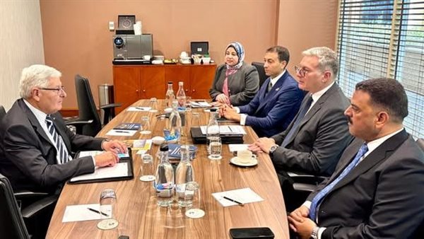 وزير البترول والثروة