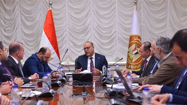 وزير العمل يستقبل