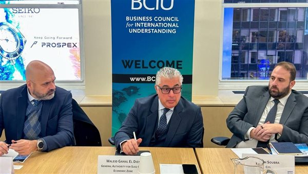 رئيس اقتصادية قناة