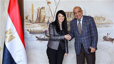 وزراء التخطيط والكهرباء يؤكدون استمرار التنسيق مع شركاء التنمية لتعزيز الطاقة النظيفة