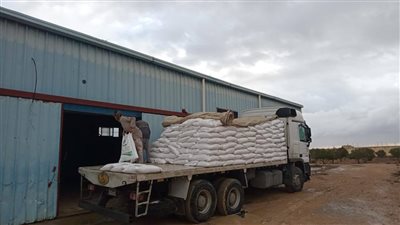 «الزراعة»: توزع 100 طن شعير و33 ألف شتلة زيتون مجاناً لدعم مزارعي مطروح