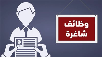 250 فرصة تدريب وتشغيل للشباب بالإسكندرية.. رواتب تبدأ من 8 آلاف جنيه