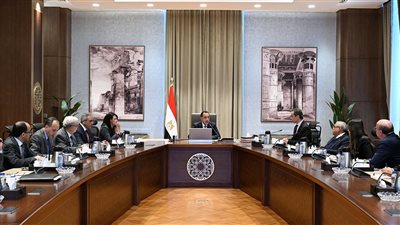 رئيس الوزراء: خطة شاملة لرفع كفاءة الهيئات الاقتصادية وتعظيم مواردها