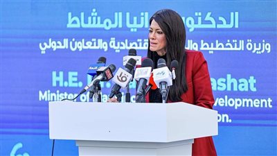 المشاط: حصاد 2025 يعكس شراكة قوية مع منظمات الأمم المتحدة لتحقيق التنمية المستدامة