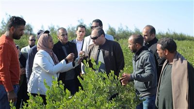 رئيس هيئة تنمية الصعيد يتفقد حصاد محصول الجوجوبا بالبحر الأحمر