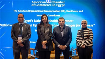 غرفة التجارة الأمريكية: مصر أمام فرصة لتعزيز جاذبيتها الاستثمارية وتوسيع الشراكات الدولية