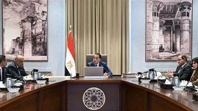 مدبولي يناقش ربط مشروعات الطاقة الجديدة بالشبكة القومية وتسريع جذب الاستثمارات