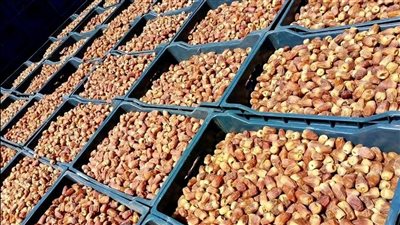 مع اقتراب رمضان.. أسعار البلح والتمور كام في السوق والأونلاين؟