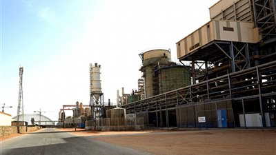 «القناة للسكر» بالمنيا.. مصنع إماراتي-مصري بطاقة إنتاجية 900 ألف طن وسوق تصديرية بـ80 مليون دولار