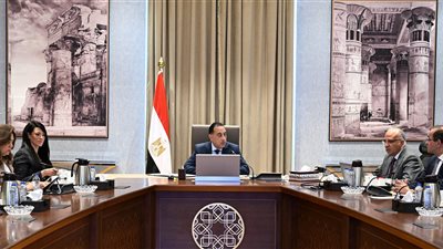 مدبولي: توجيهات رئاسية بالمتابعة الدقيقة لمشروعات حماية الشواطئ في ظل التغيرات المناخية