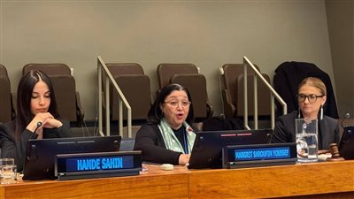 مصر تشارك في نيويورك.. نائبة وزيرة التضامن تؤكد أهمية أنظمة الرعاية الشاملة للقضاء على الفقر