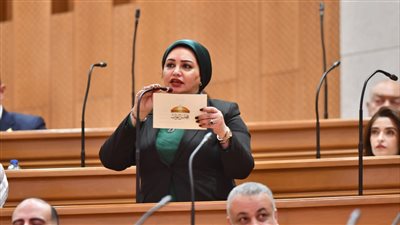 هل مصر مستعدة لمواجهة التغيرات المناخية؟.. برلمانية تدق ناقوس الخطر