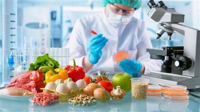 مجلس الوزراء: إنجازات غير مسبوقة في سلامة الغذاء والصحة العامة خلال 2025